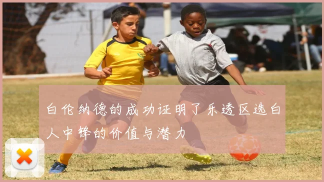 白伦纳德的成功证明了乐透区选白人中锋的价值与潜力