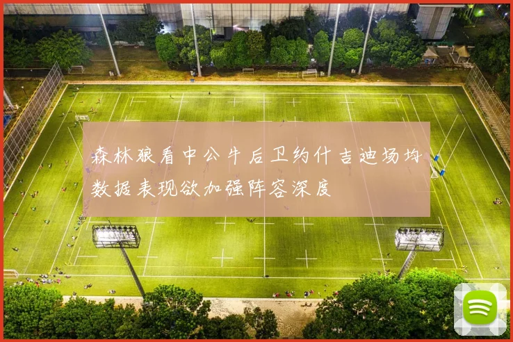 森林狼看中公牛后卫约什吉迪场均数据表现欲加强阵容深度